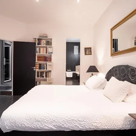 Apartment L'empereur Somptueux Duplex Au Style Raffine, Petit Juas, Proche Du Centre